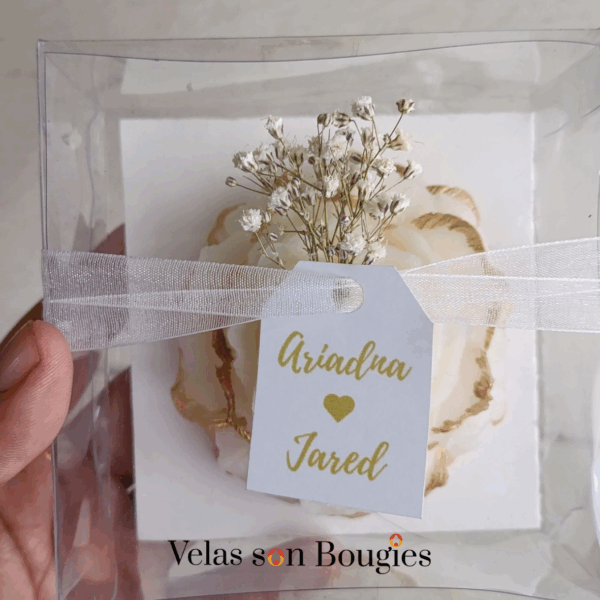 Peonia filo dorado - Imagen 3