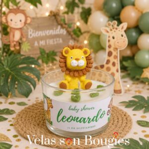 vela leonardo