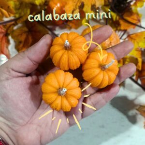 docena  de calabazas mini