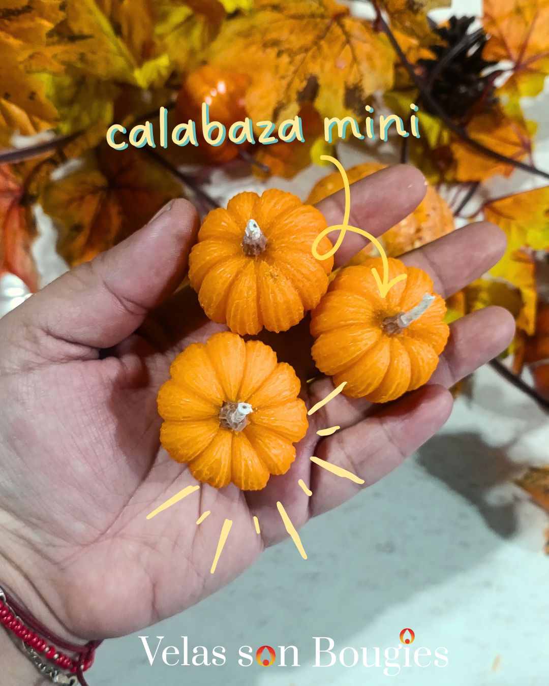 docena  de calabazas mini