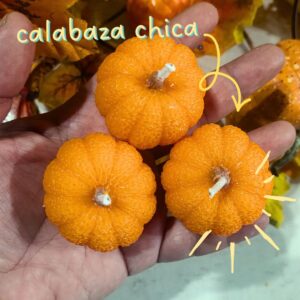 calabaza chica docena
