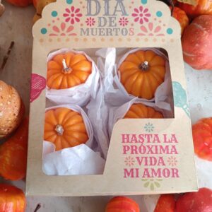 kit calabazas
